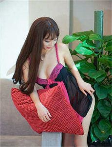 《雪花2006》