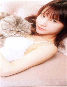 《七仙女》