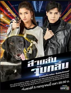 黑莲花凤鸣天下